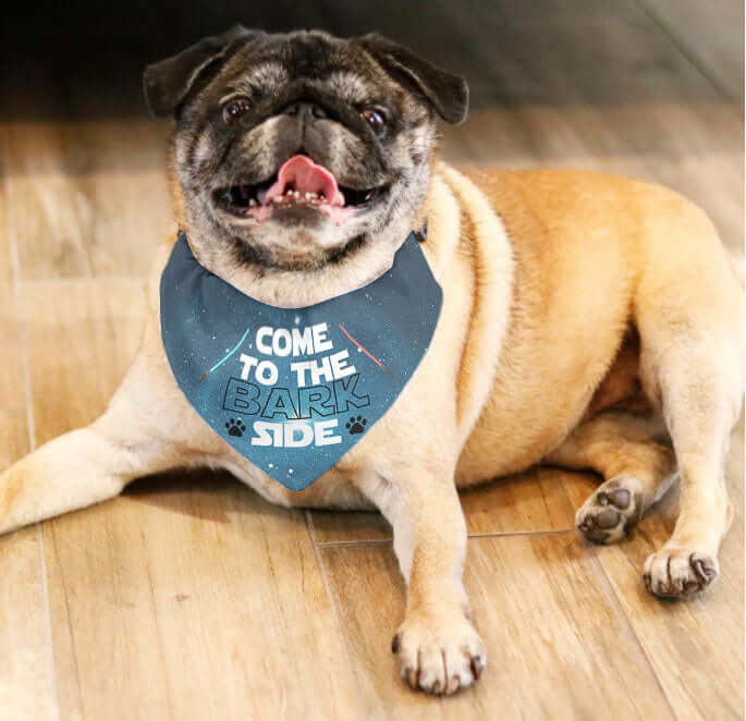 Come To The Bark Side Dog Bandana Collar - Dog Collar With Easy Slide On & Off Dog Bandana - Funny Dog Scarf Bib - Variety of Sizes