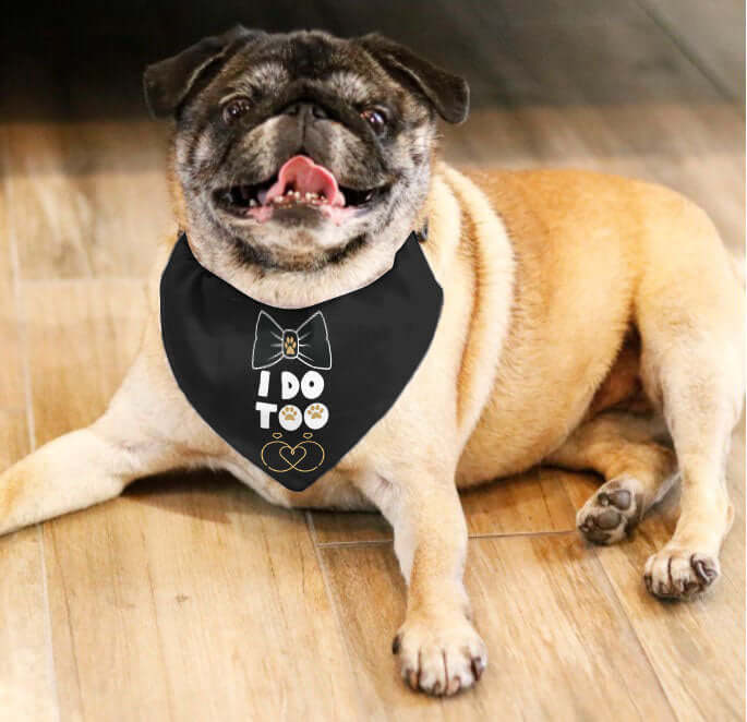 Dog Bandana Collar - Wedding Bandana I Do Too - Dog Collar With Easy Slide On & Off Bandana - Funny Dog Bandana