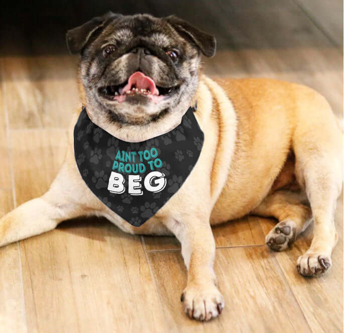 Aint Too Proud To BEG Dog Bandana Collar - Dog Collar With Easy Slide On & Off Dog Bandana - Funny Dog Scarf - Small, Medium, Large & Extra Large Sizes For Boy & Girl