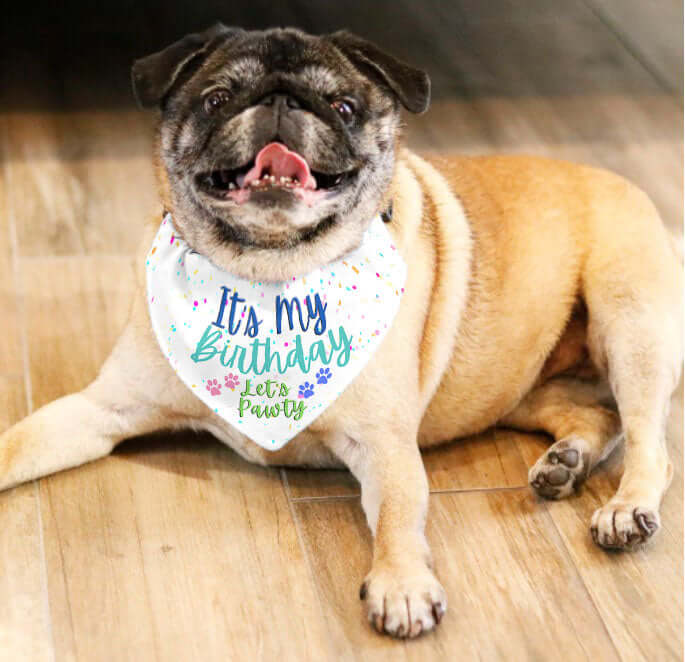 Dog Bandana Collar - It's My Birthday Let's Pawty - Dog Collar With Easy Slide On & Off Bandana - Funny Dog Bandana