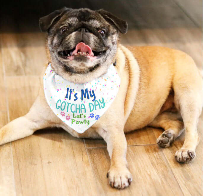 Dog Bandana Collar - It's My Gotcha Day Let's Pawty - Dog Collar With Easy Slide On & Off Bandana - Birthday Dog Bandana
